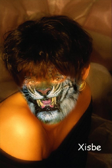Tig 85 c.jpg